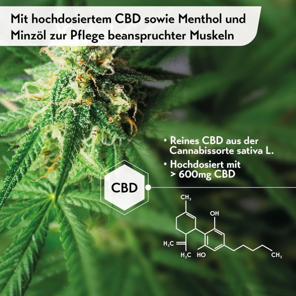 CBD VITAL Bio CBD Масло 25%, 10 мл - Image 4